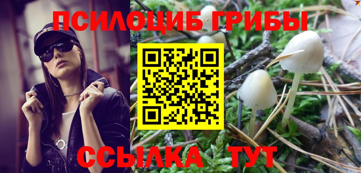 Галлюциногенные грибы мицелий Зерноград