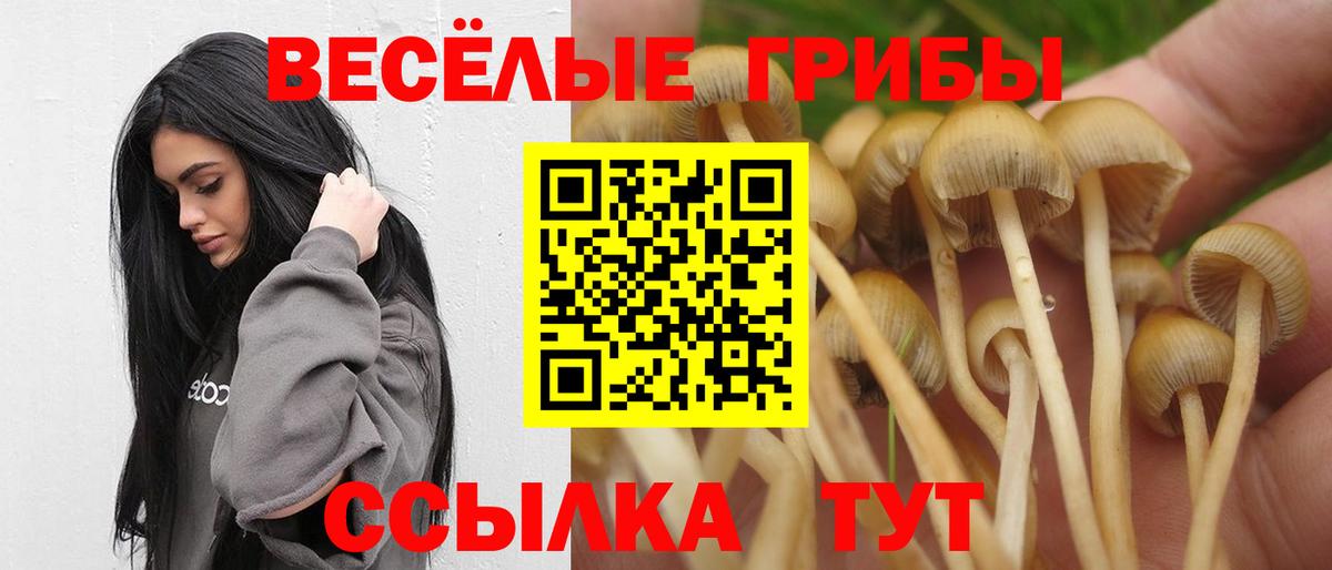 Галлюциногенные грибы Magic Shrooms  Галлюциногенные грибы Cubensis  Вход с VPN  Зерноград 